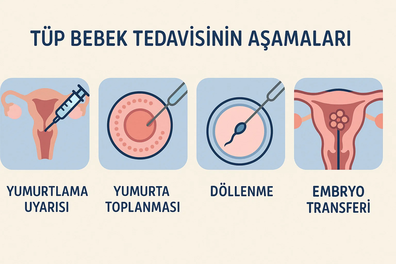 tüpbebek tedavisinin aşamaları