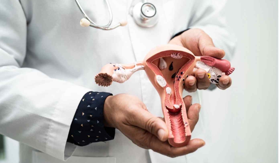 vajinal-enfeksiyonlar