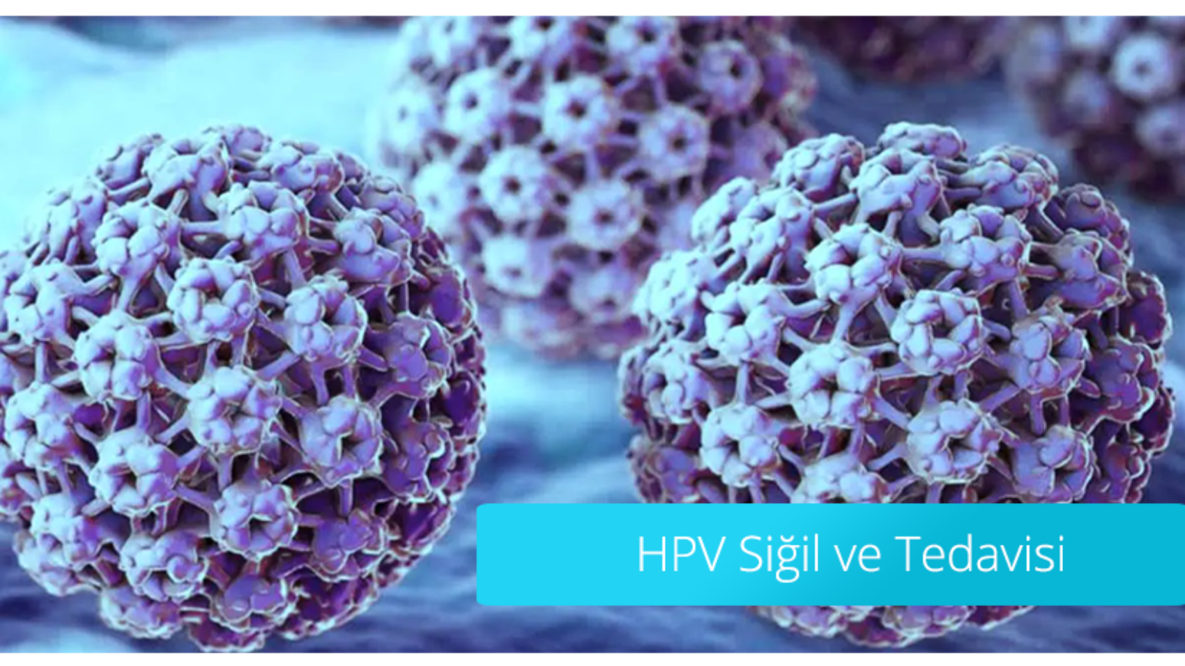 genital-hpv-sigil-ve-tedavisi