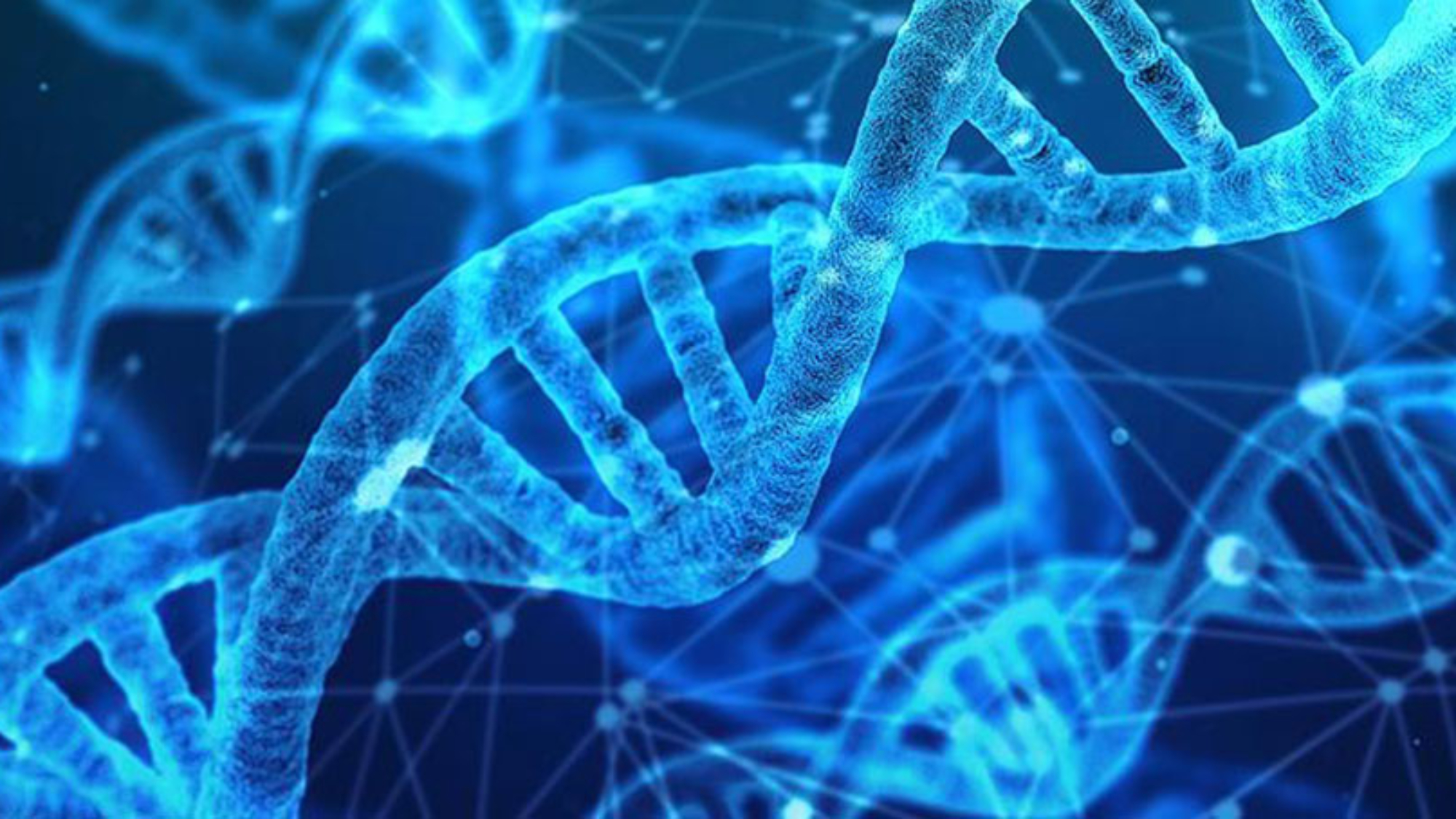 genetik_tup_bebek_ivf